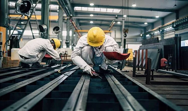 Alaplı Yük Taşıma Personeli